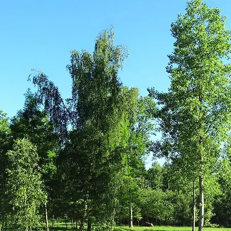 度假居 Maison De Vacances Au Clair De Lune
